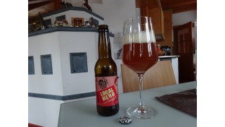 Bild von Local Hero - Easy Pale Ale