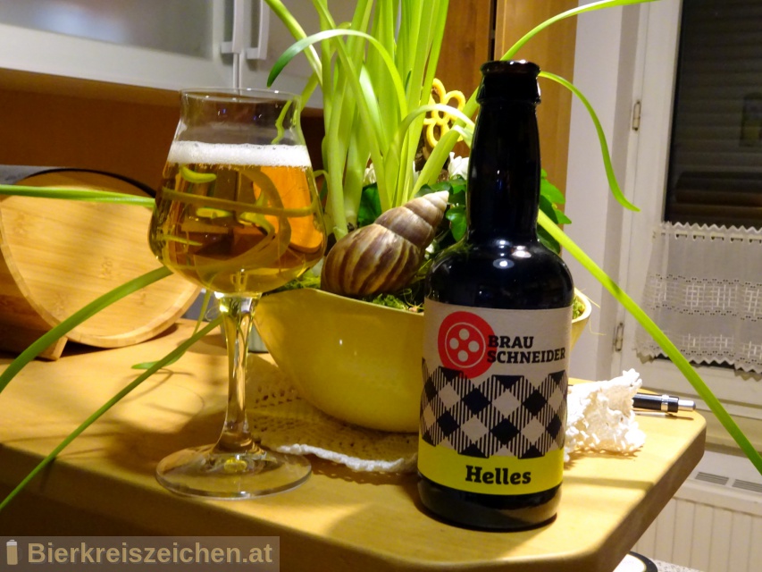Foto eines Bieres der Marke Helles aus der Brauerei Brauschneider