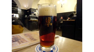 Augustiner Dunkel