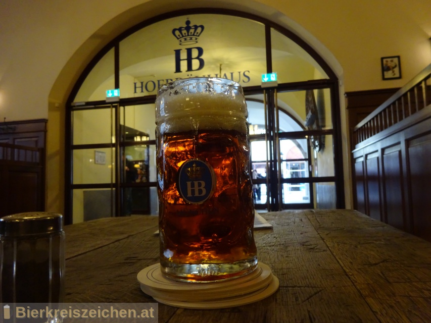 Foto eines Bieres der Marke Hofbru Dunkel aus der Brauerei Staatliches Hofbruhaus