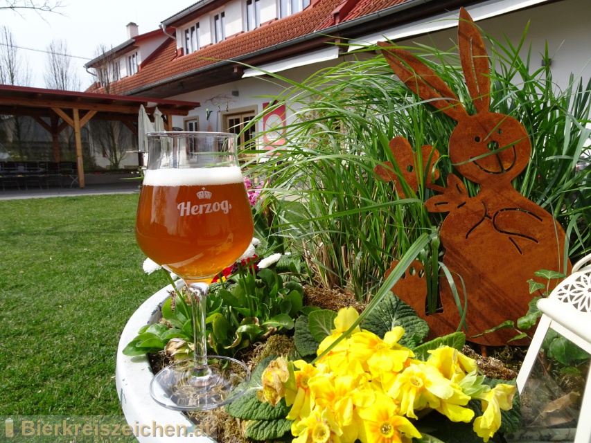 Foto eines Bieres der Marke Herzog Rosmarien  aus der Brauerei Herzog Hofbru