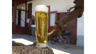 Bild von Ottakringer Helles