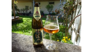 Bild von Oster Festbier