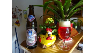 Hofbru Maibock