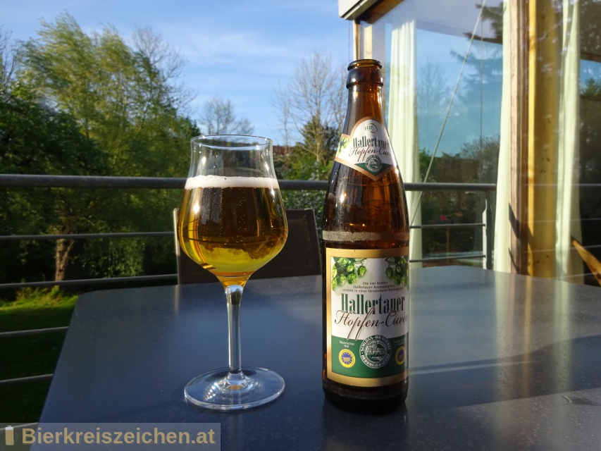Foto eines Bieres der Marke Hallertauer Hopfen - Cuve aus der Brauerei Schloss-Brauerei Herrngiersdorf