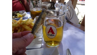 Bild von Alpha Hellenic Beer