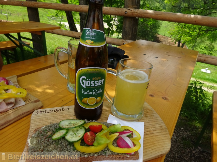 Foto eines Bieres der Marke Gsser NaturRadler aus der Brauerei Brauerei Gss