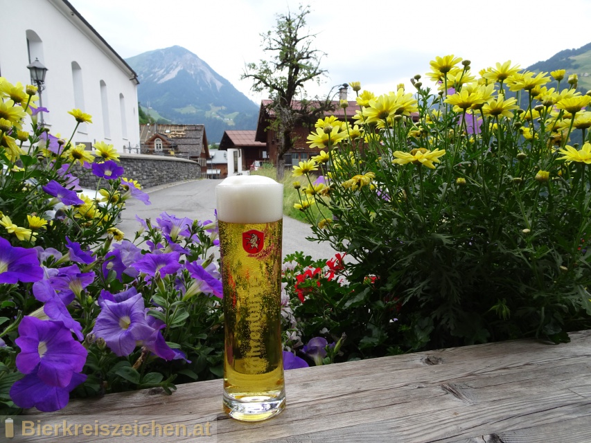 Foto eines Bieres der Marke Fohrenburger Mrzen aus der Brauerei Fohrenburger
