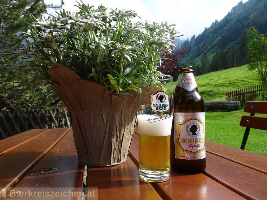 Foto eines Bieres der Marke Mohren Pfiff aus der Brauerei Mohrenbrauerei