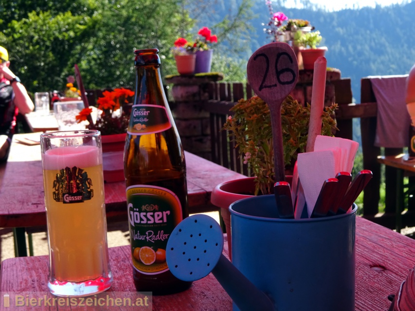 Foto eines Bieres der Marke Gsser NaturRadler Kruter aus der Brauerei Brauerei Gss