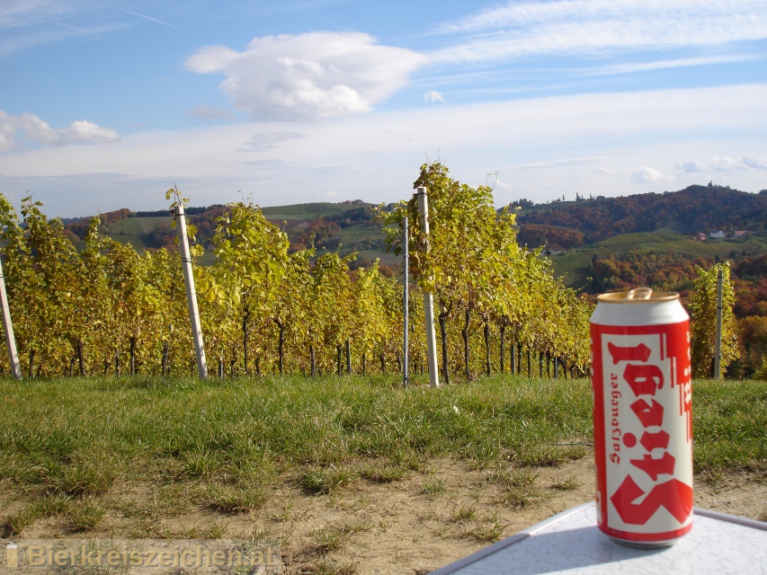 Foto eines Bieres der Marke Stiegl Goldbru aus der Brauerei Stieglbrauerei