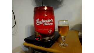 Bild von Budweiser Original