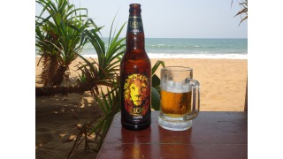 Lion Lager