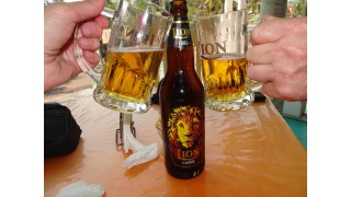 Lion Lager