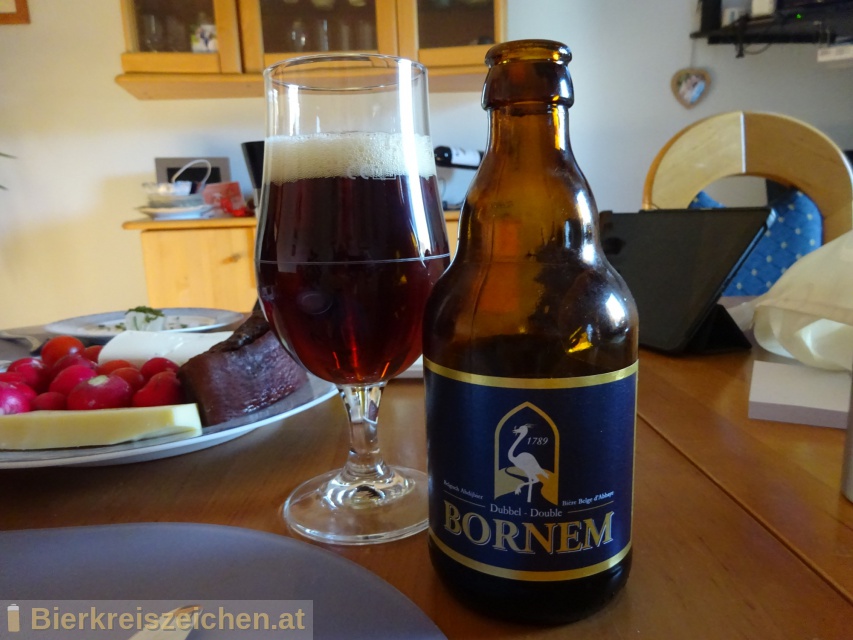 Foto eines Bieres der Marke Bornem Dubbel aus der Brauerei Brouwerij Van Steenberge