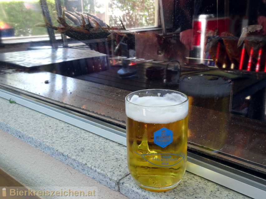 Foto eines Bieres der Marke Steckerlfischbier aus der Brauerei Hofbru Kaltenhausen