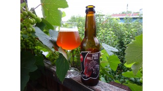 Bild von Wimitz India Pale Ale