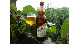 Bild von Wainwright Golden Ale