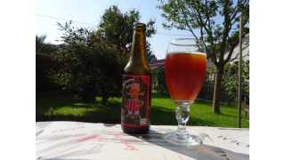 Bild von Werkbru Amber Pale Ale