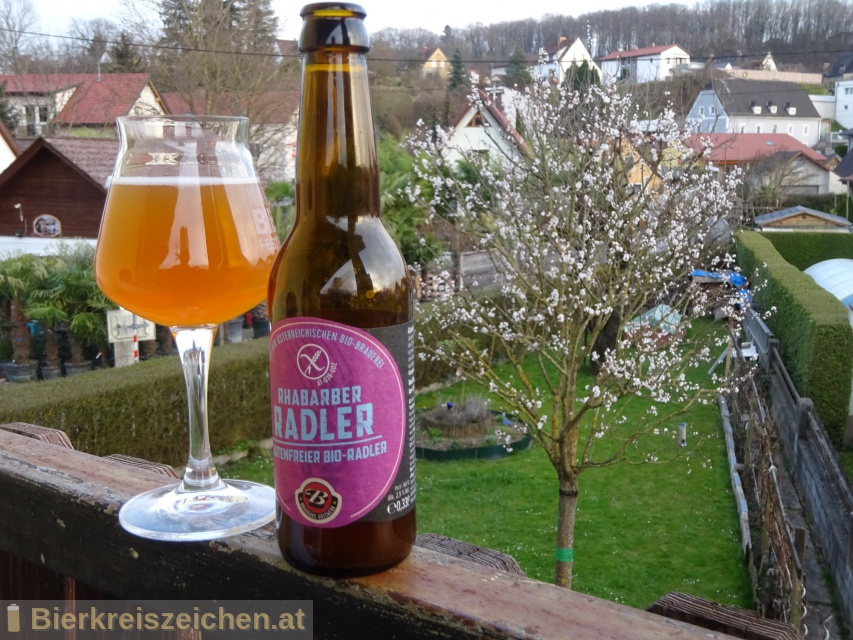 Foto eines Bieres der Marke Rhabarber Radler  aus der Brauerei Brauerei Gusswerk