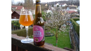 Rhabarber Radler 