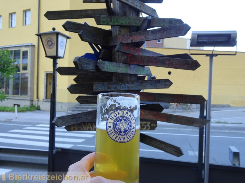 Foto eines Bieres der Marke Kaltenhauser Kellerbier aus der Brauerei Hofbru Kaltenhausen