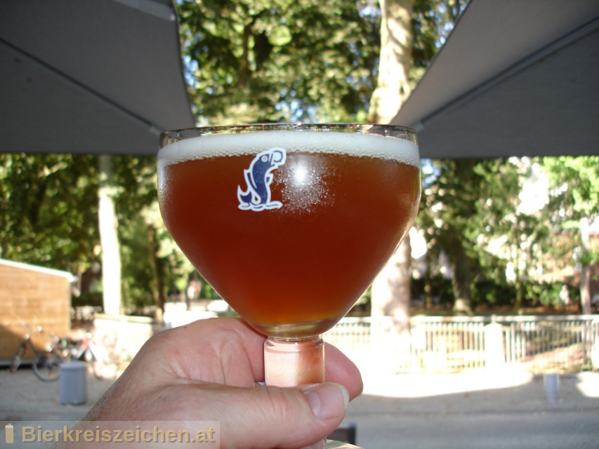 Foto eines Bieres der Marke Orval aus der Brauerei Brasserie d'Orval