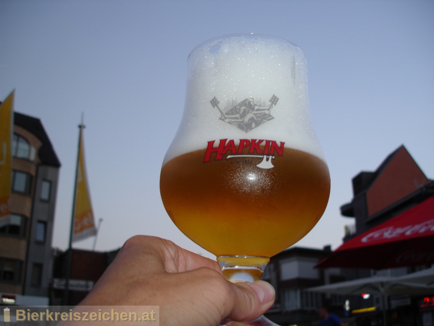 Foto eines Bieres der Marke Hapkin aus der Brauerei N.V. Brouwerijen Alken Maes Brasseries S.A.