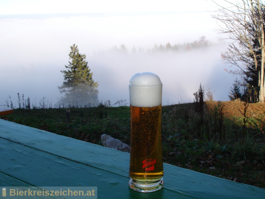 Foto eines Bieres der Marke Stiegl Herbstgold aus der Brauerei Stieglbrauerei