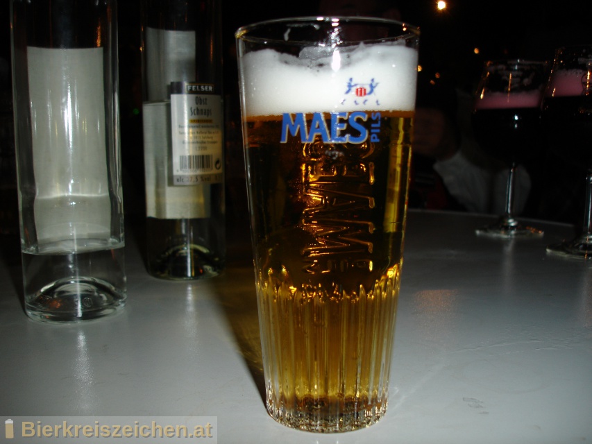 Foto eines Bieres der Marke Maes aus der Brauerei N.V. Brouwerijen Alken Maes Brasseries S.A.