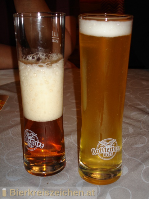 Foto eines Bieres der Marke Hofstettner Kübelbier aus der Brauerei Brauerei Hofstetten