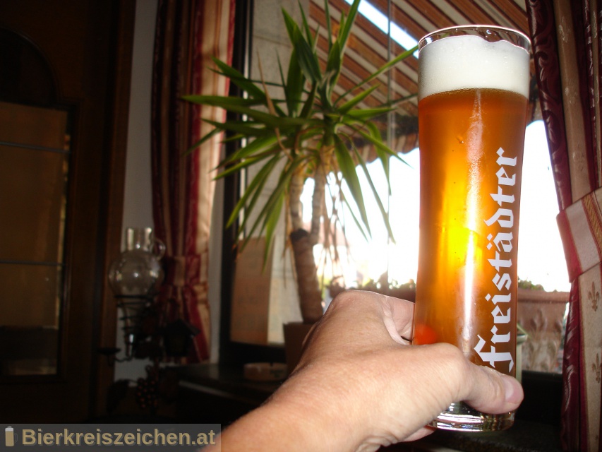 Foto eines Bieres der Marke Freistädter Bio Zwickl aus der Brauerei Braucommune in Freistadt