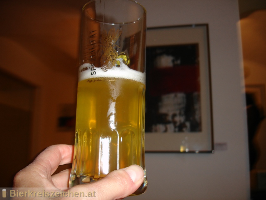 Foto eines Bieres der Marke Kaltenhauser Kellerbier aus der Brauerei Hofbräu Kaltenhausen