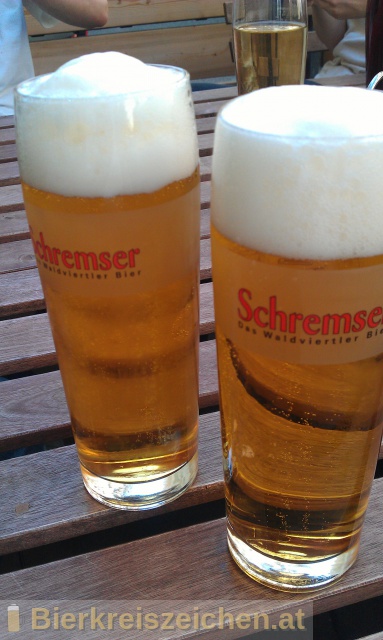 Foto eines Bieres der Marke Schremser Pils aus der Brauerei Brauerei Schrems