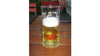 Bild von Stiegl Pils