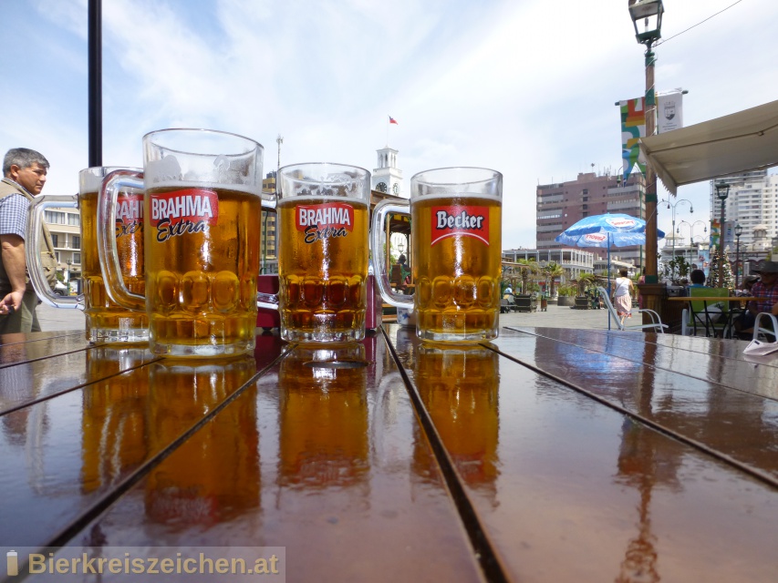 Foto eines Bieres der Marke Becker aus der Brauerei Cervecera Chile S.A.