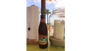 Bild von Longboard Island Lager